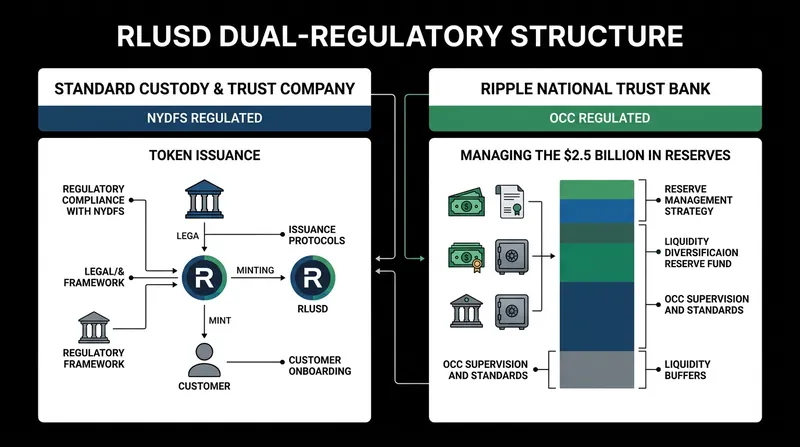 Ripple's stablecoin infrastructure relies on a dual-regulatory model, separating token issuance from federal reserve management.