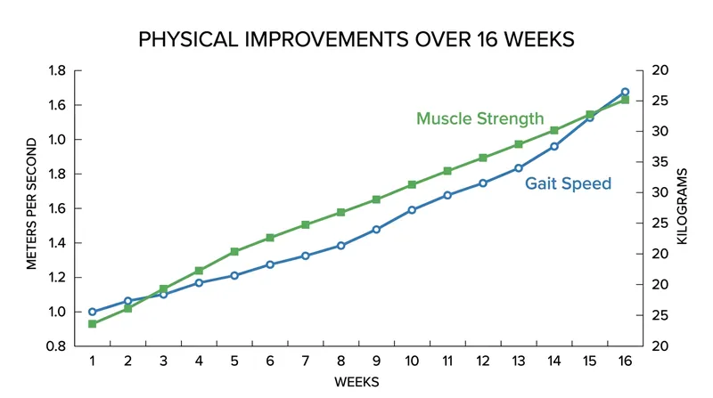 Participants in the 16-week trial experienced significant gains in both muscle strength and walking speed.