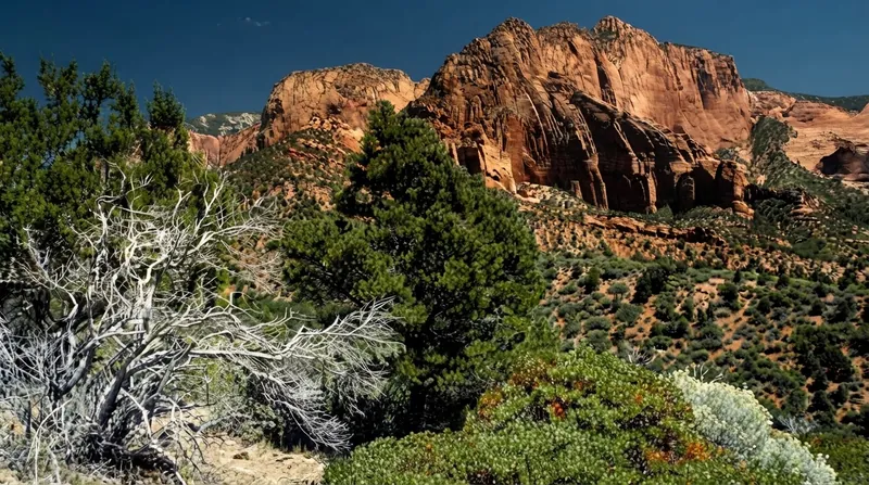 The National Park Service uses Socioeconomic Monitoring surveys to track exact local expenditures and trip purposes.