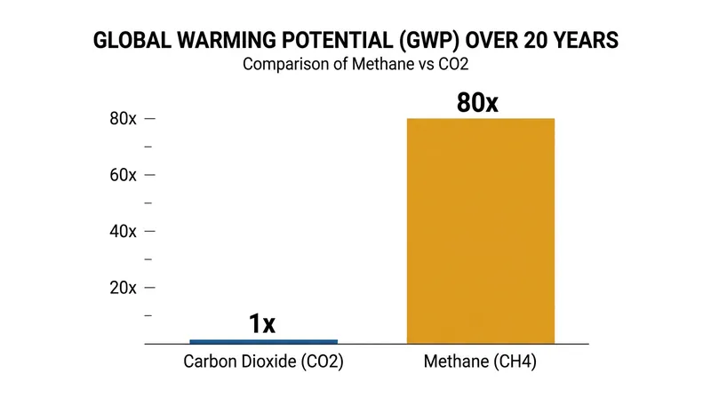 Methane traps approximately 80 times more heat than carbon dioxide over a 20-year period.